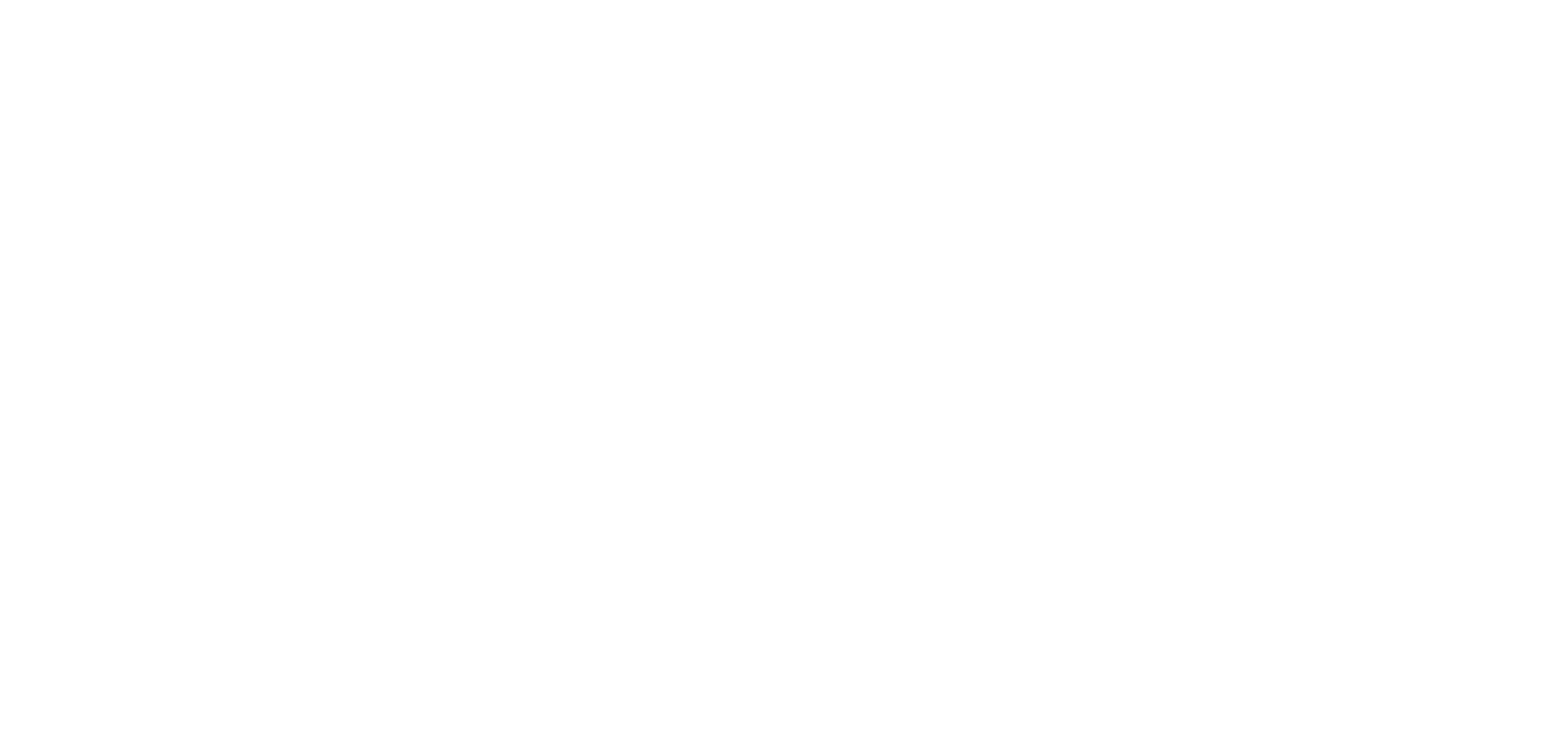 logo light